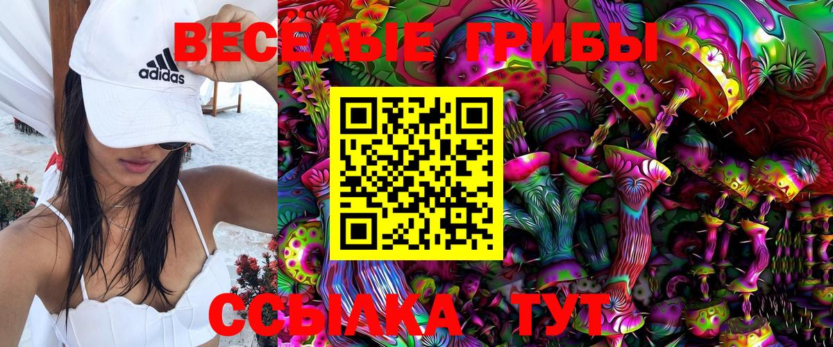 Галлюциногенные грибы Psilocybe Лысьва